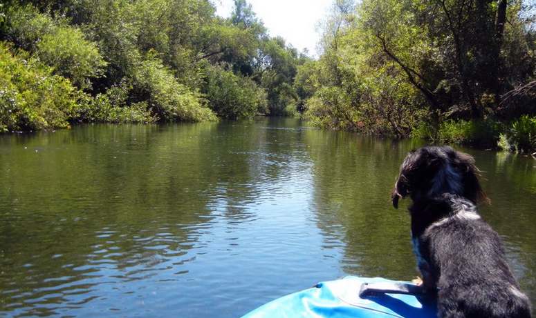 The Russian River And Let 99
