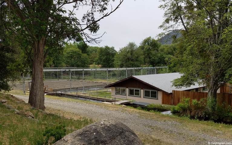 Fish Hatchery adjacent to the Kern River