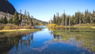 Mammoth Lakes Day Trips