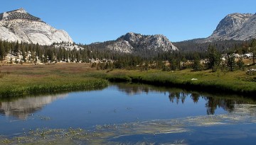 Yosemite National Camping Vacation