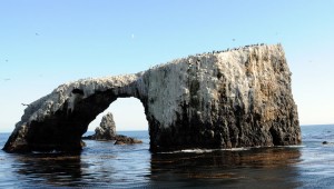 Channel Islands National Park Day Trip