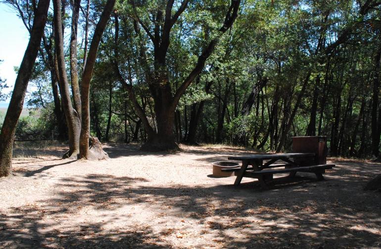 China Camp State Park Campsite