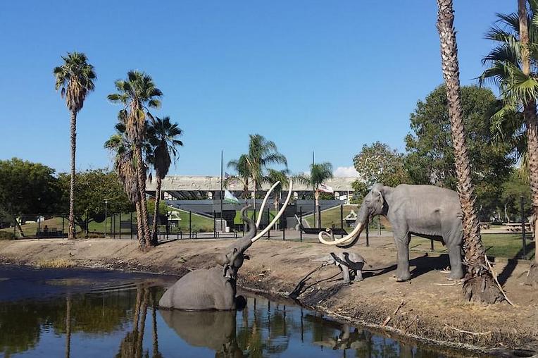 La Brea Tar Pits Los Angeles 