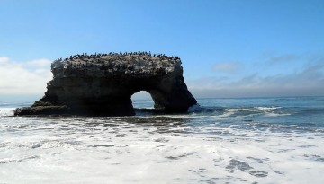 Natural Bridges State Beach Day Trip