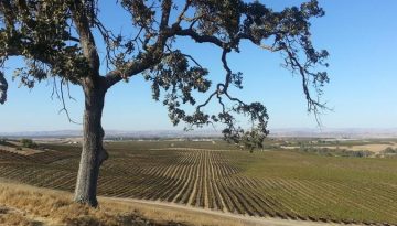 Paso Robles Day Trip Activities Attractions
