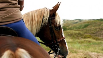 Temecula horseback riding wine tours