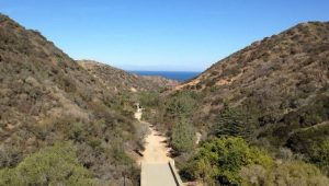 Wrigley Botanical Gardens Catalina Island
