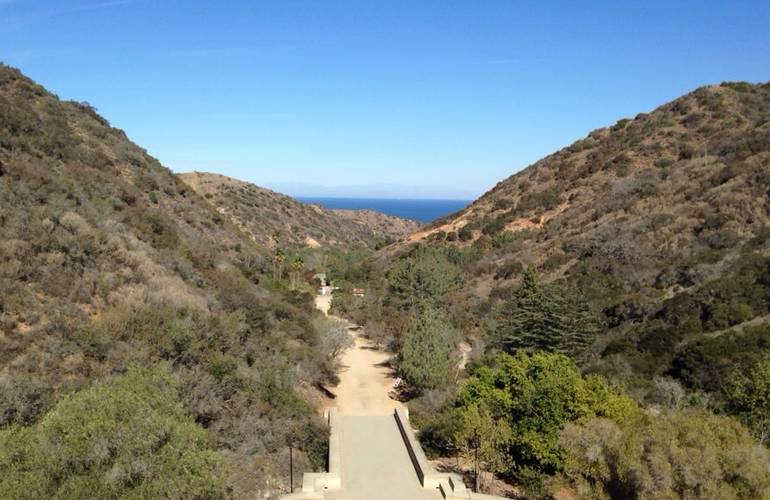 Wrigley Botanical Gardens on Catalina Island