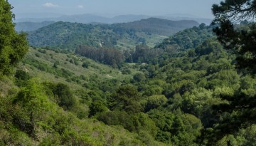 Anthony Chabot Regional Park day trip