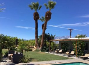 Exploring Desert Hot Springs, CA: Historic Spas & Healing Waters  