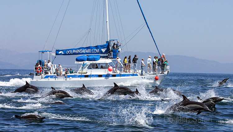 Captain Dave’s Dana Point