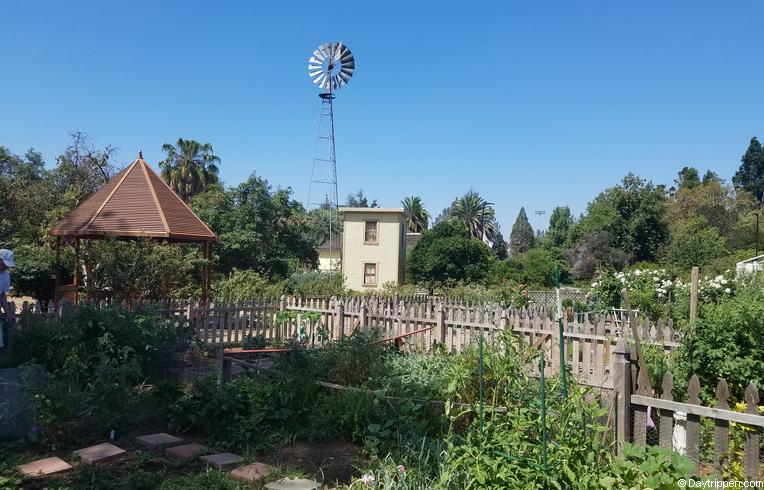 Fullerton Arboretum