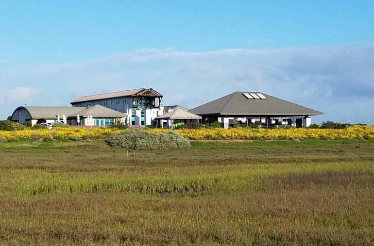 Living Coast Discovery Center Family Day Trip