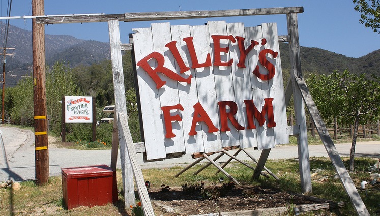 Riley's Farm Oak Glen