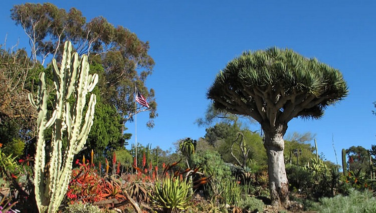 San Diego Botanic Garden Day Trip A Paradise In Encinitas