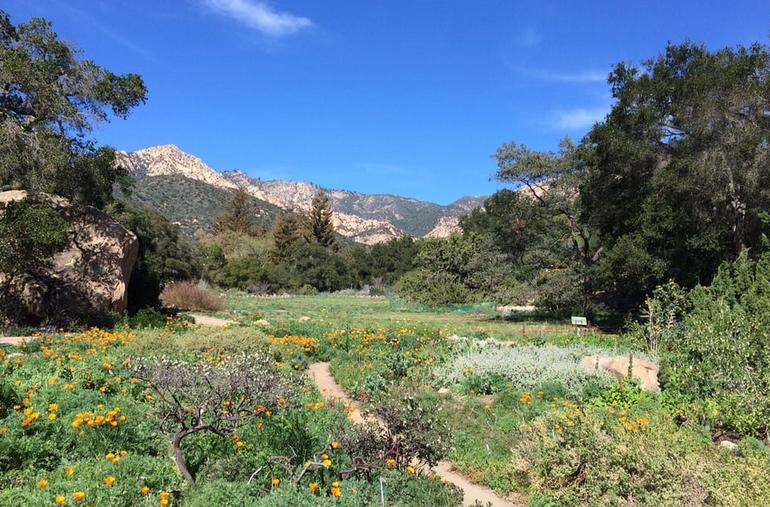 Santa Barbara Botanic Garden Day Trip Connect With Nature