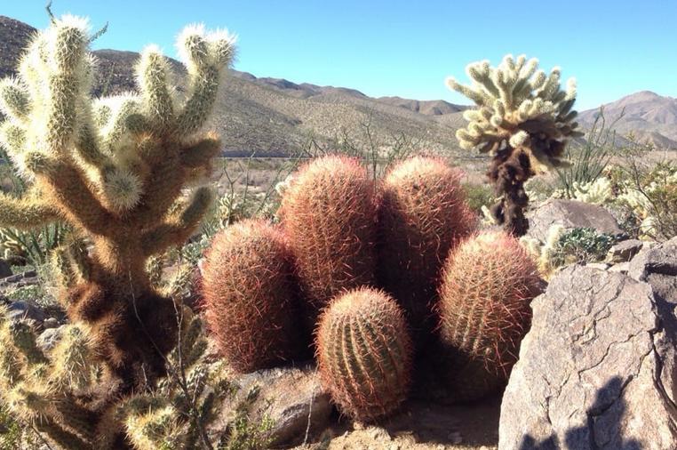 Anza-Borrego Desert State Park