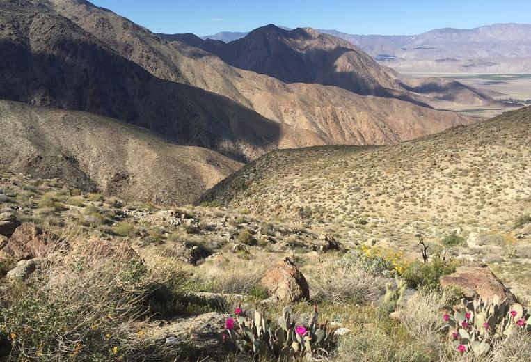 Anza-Borrego Desert State Park Day Trip