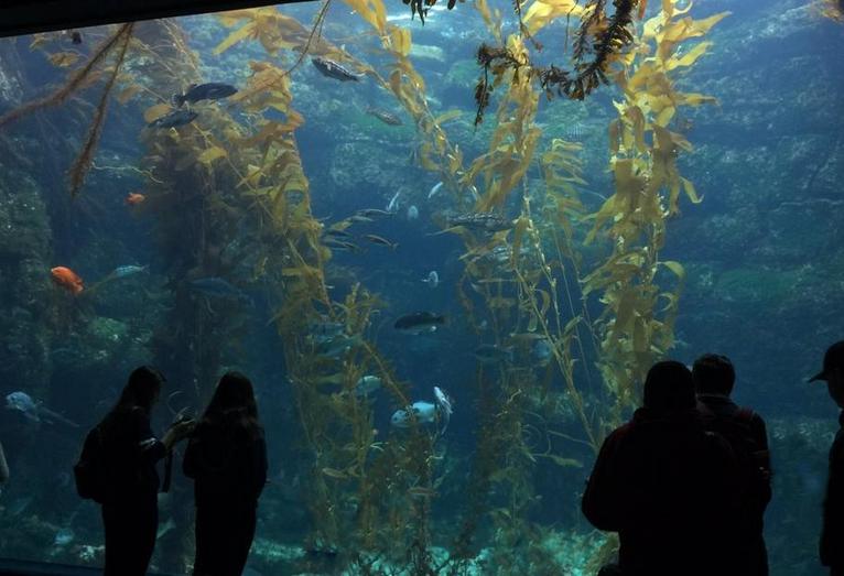 Birch Aquarium at Scripps La Jolla