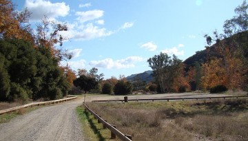 Peter Strauss Ranch Santa Monica Mountains Day Trip