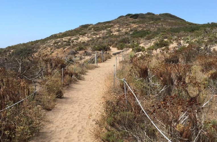 Summit Trail Point Dume Nature Preserve