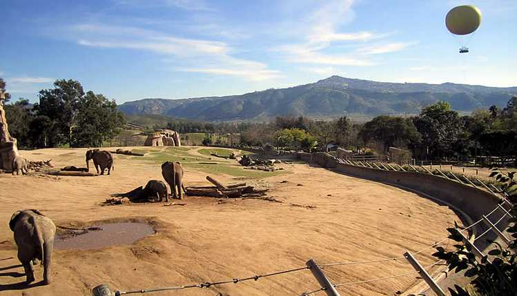 San Diego Zoo Safari Park