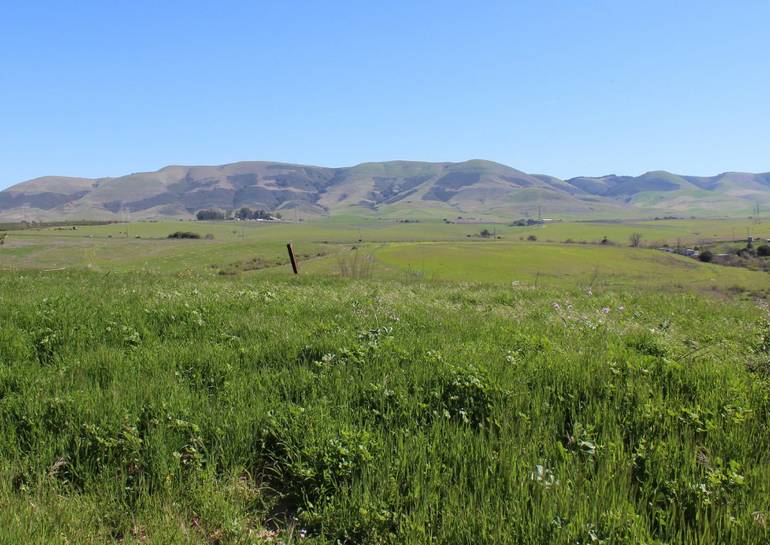 Santa Maria Valley, California