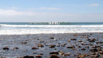 Trestles Beach Southern California Surfing