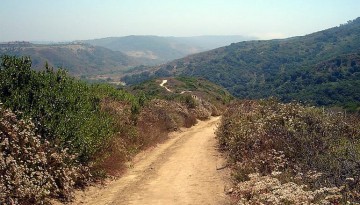 Aliso and Wood Canyon Laguna Beach