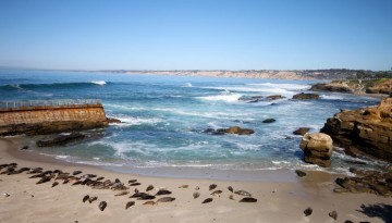 La Jolla San Diego Day Trip