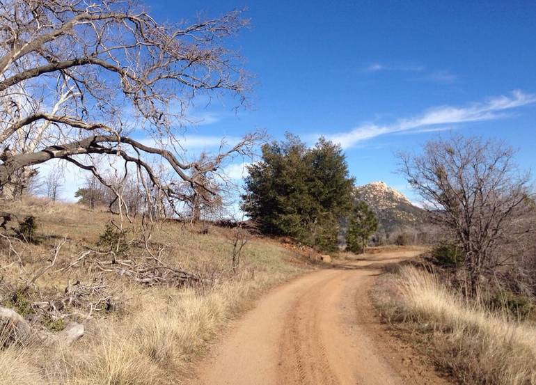 Cuyamaca Park Dirt Road