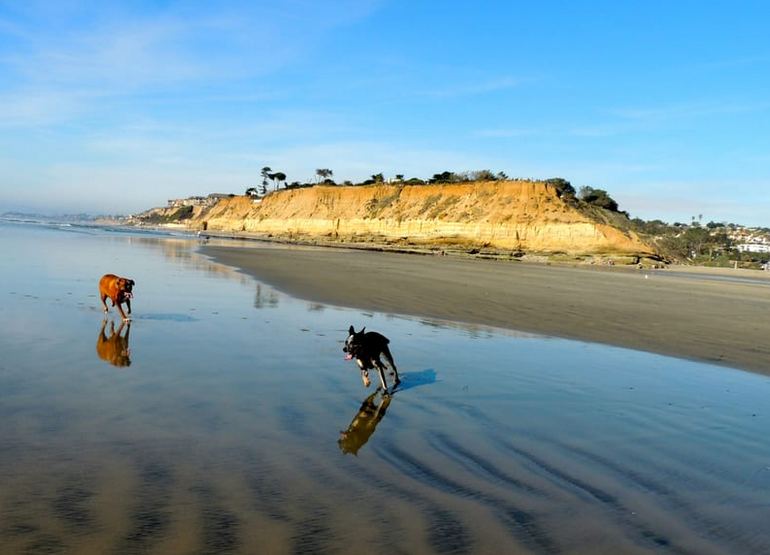 Day Trip To Del Mar California Top 10 Things To Do