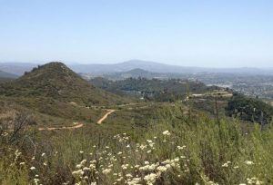 Escondido Day Trip