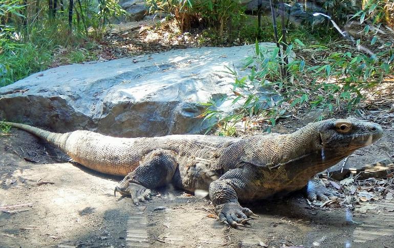Zoo Reptile House Zoo Reptile House