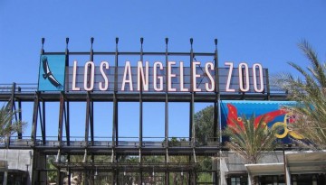Los Angeles Zoo Day