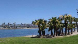 Mission Bay Park San Diego Day Trip Things To Do