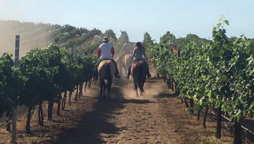 Unique Temecula Wine Country Tours
