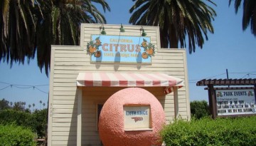 California Citrus State Historic Park Day Trip