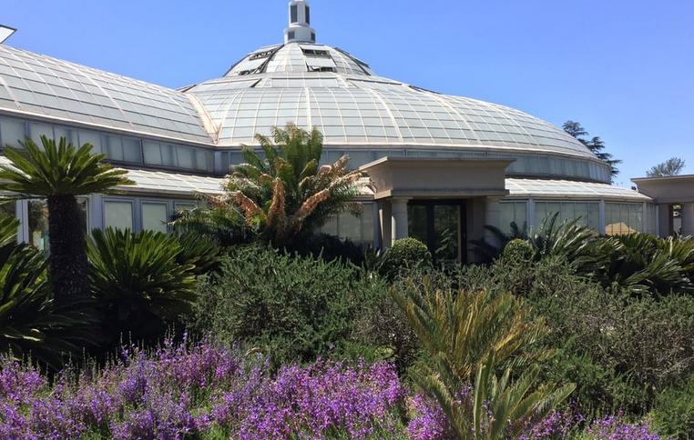 Huntington Library & Gardens Huntington Library & Gardens