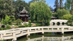 Day Trip to Huntington Library and Gardens