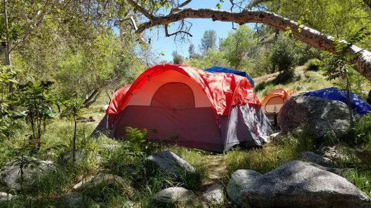 Kern River Camping