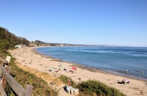 Northern California New Brighton State Beach