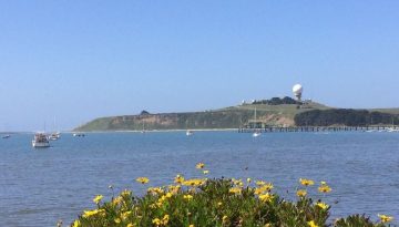 Half Moon Bay Day Trip