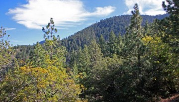 Table Mountain Campground Wrightwood CA