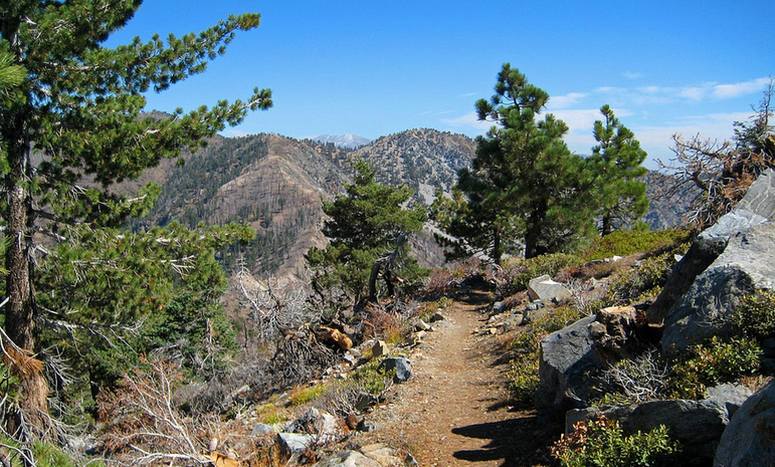 Table Mountain Campground