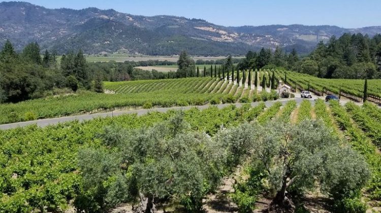 Northern California Hidden Gems for your Bucket List