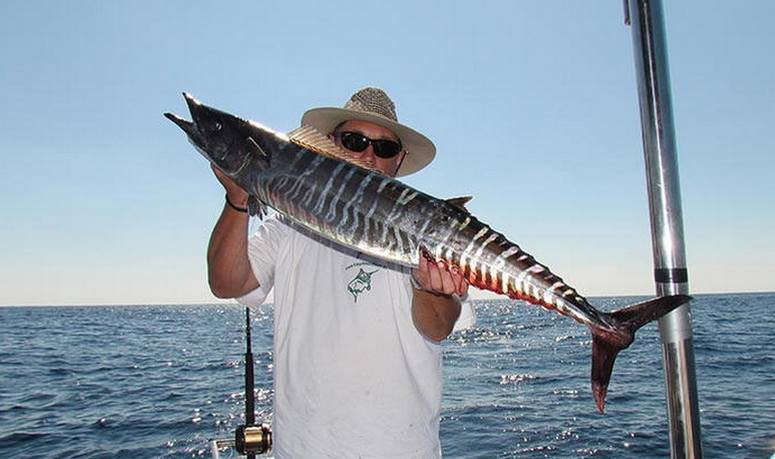 Southern California Ocean Fishing Trips