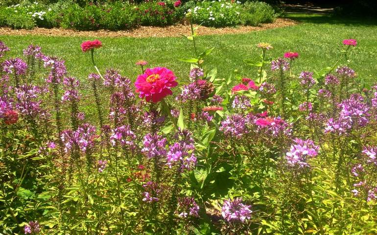 Descanso Gardens La Canada Flintridge Descanso Gardens La Canada Flintridge