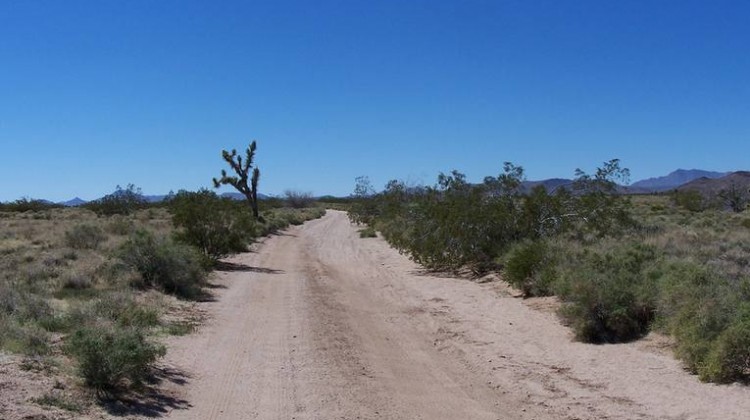 Old Mojave Road
