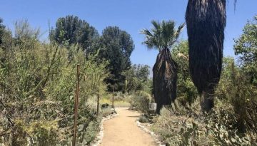 Rancho Santa Ana Botanic Garden Day Trip